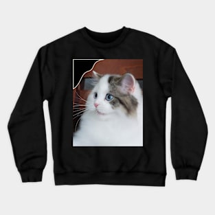 the chubby cute cats Crewneck Sweatshirt